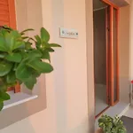Petani 3* Vovikes